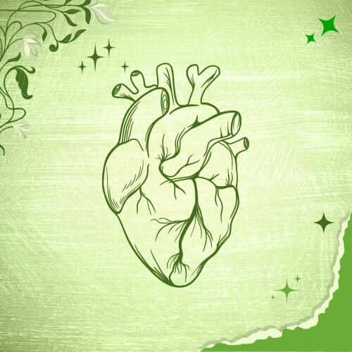 an image showing a heart