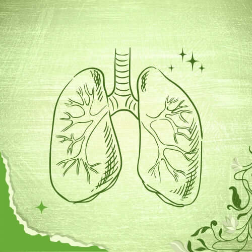 a picture showing lungs