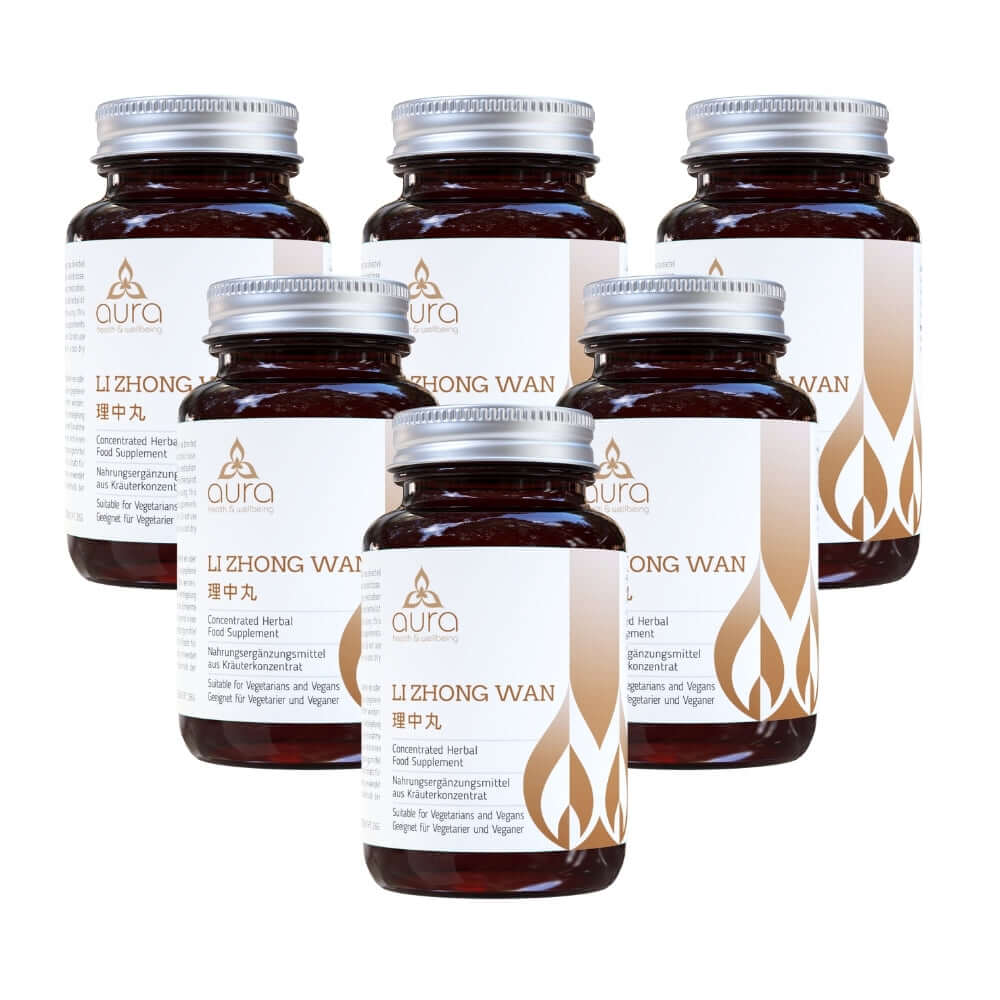 Promote digestive harmony with Li Zhong Wan (White Atractylodis Rhizome & Ginseng) - 6 x 60 tablets