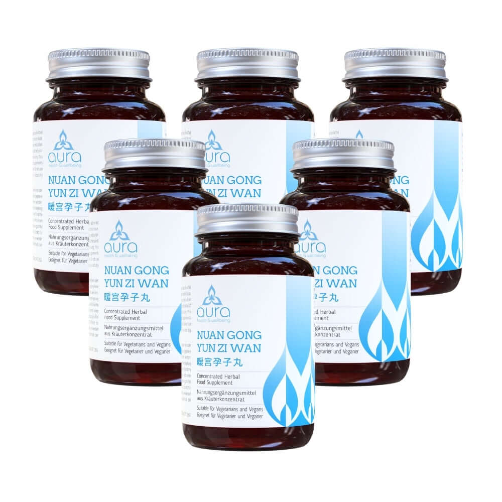 Nuan Gong Yun Zi Wan (Rehmannia & Eucommia Bark) - 6 x 60 tablets