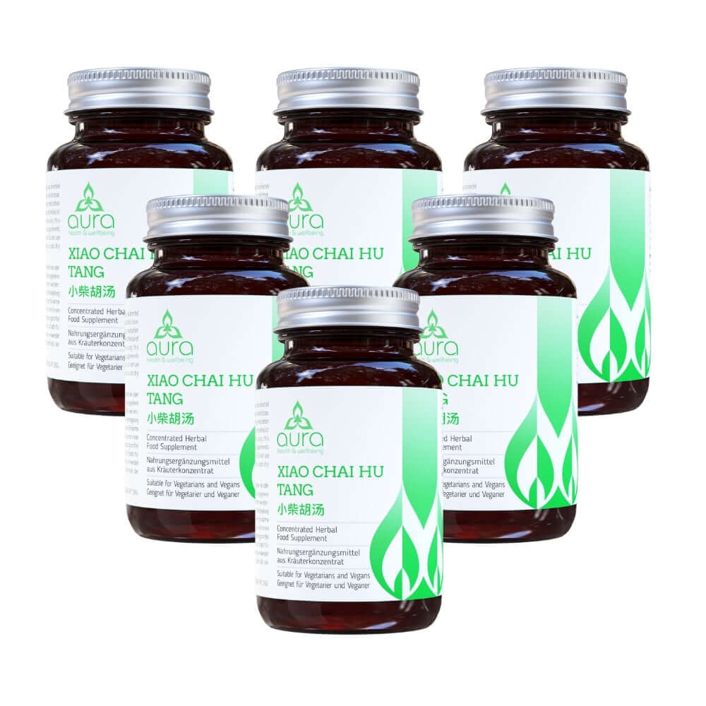 Xiao Chai Hu Tang (Thorowax Root & Panax Ginseng) - 6 x 60 tablets