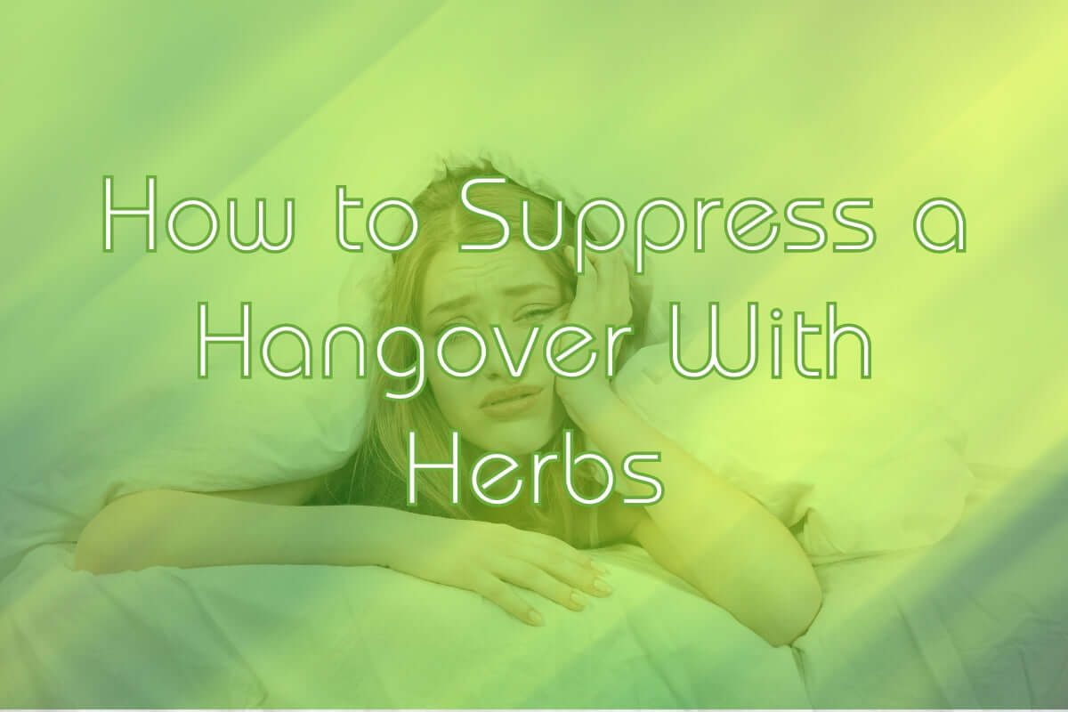 natural hangover cure chinese medicine