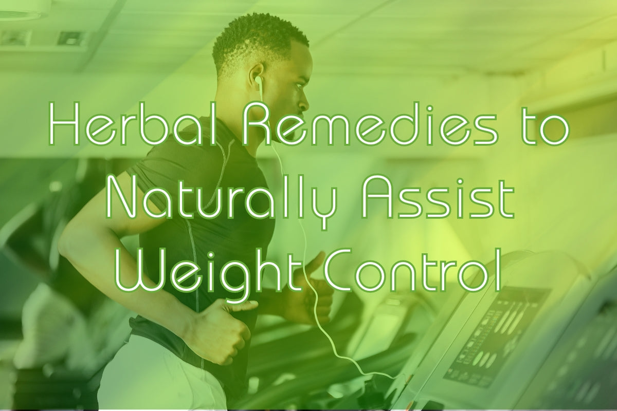 4 Chinese Herbal Remedies to Assist Weight Control Naturally | Aura Health & Wellbeing Blog