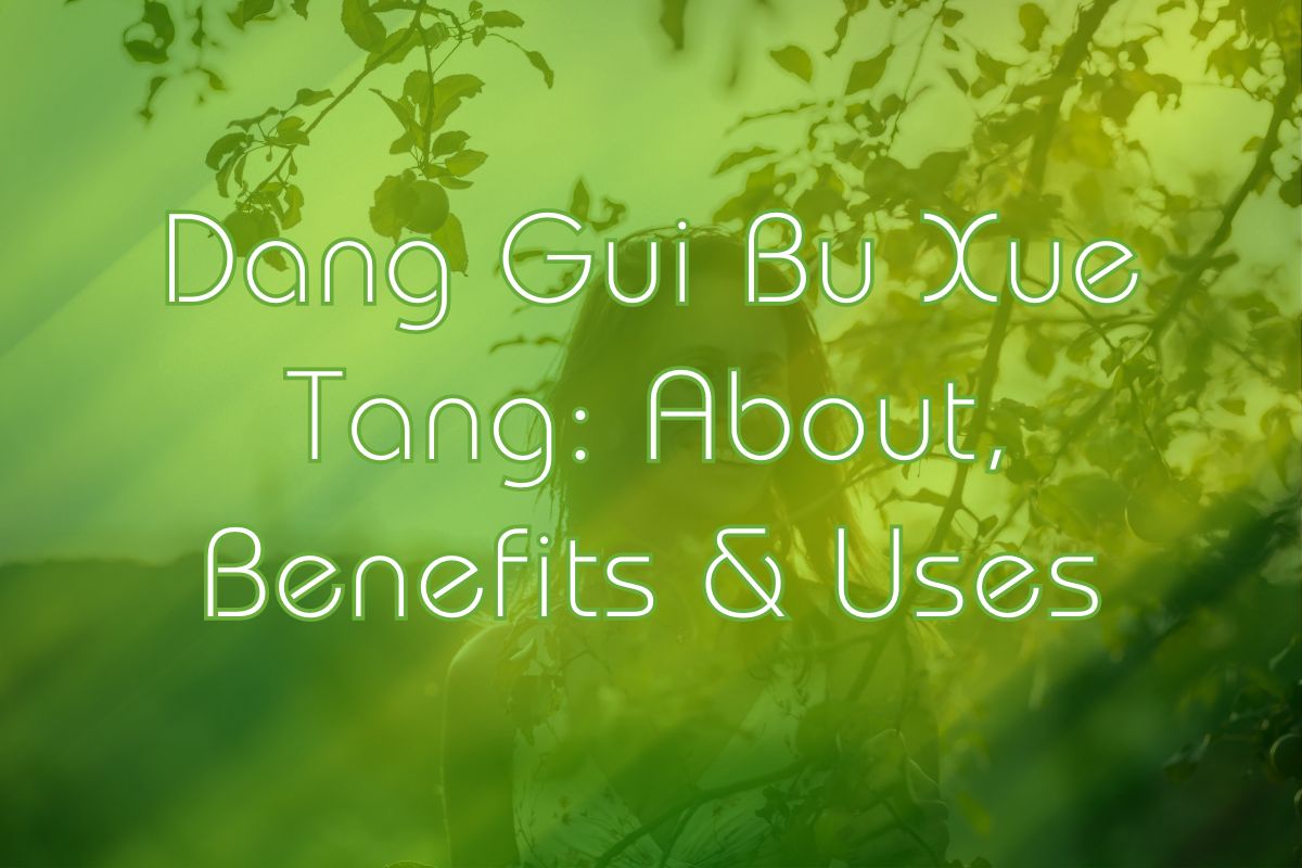 Dang Gui Bu Xue Tang: About, Benefits & Uses