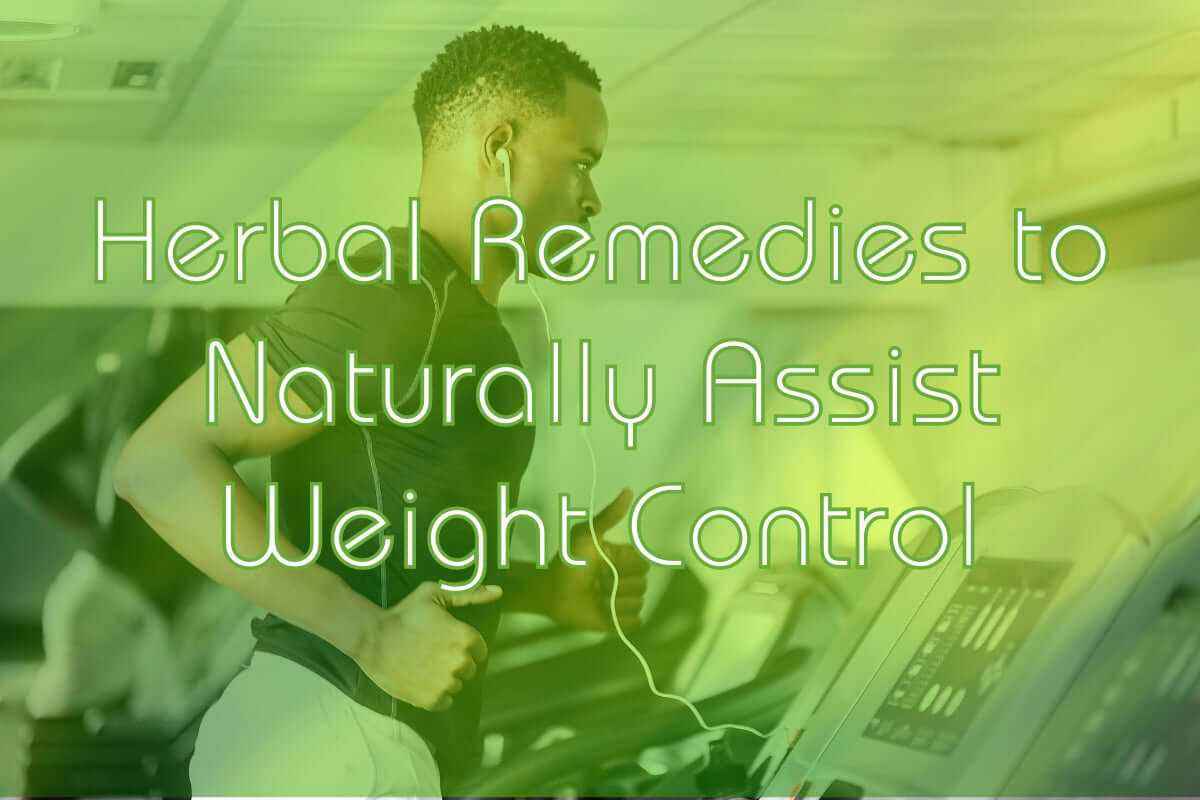 4 Chinese Herbal Remedies to Assist Weight Control Naturally | Aura Health & Wellbeing Blog