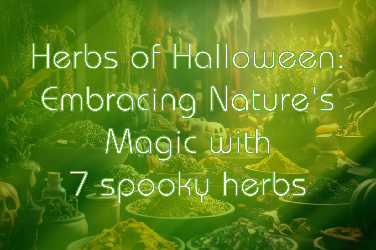 Herbs of Halloween: Embracing Nature's Magic with 7 Spooky Herbs