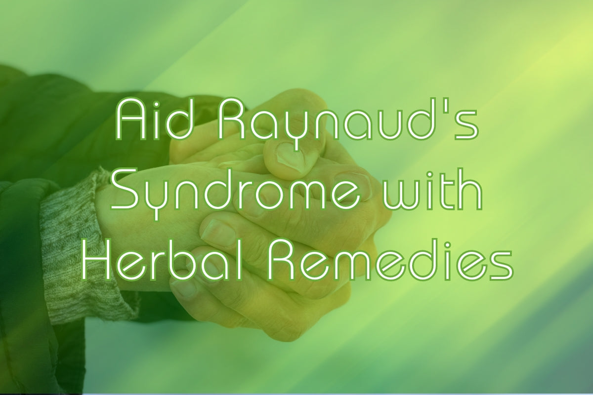 How to Aid Raynaud's Syndrome with Herbal Remedies