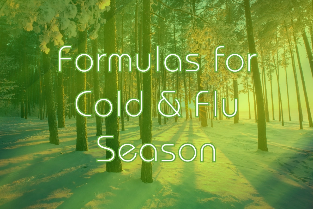 Cold & Flu Season: 4 Herbal Formulas, Which Are Best & Why?