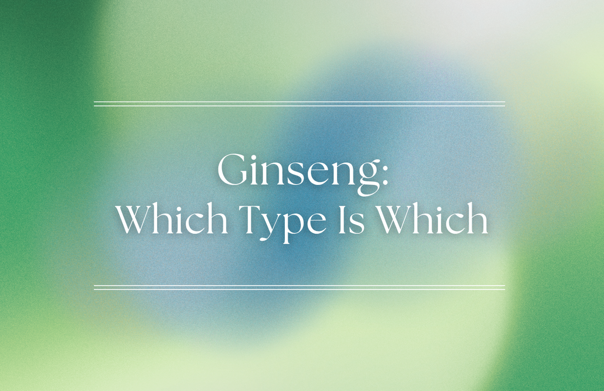 Ginseng Types Explained: Asian, American, Red and White