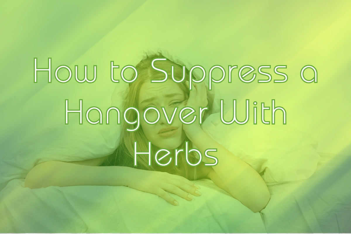 natural hangover cure chinese medicine