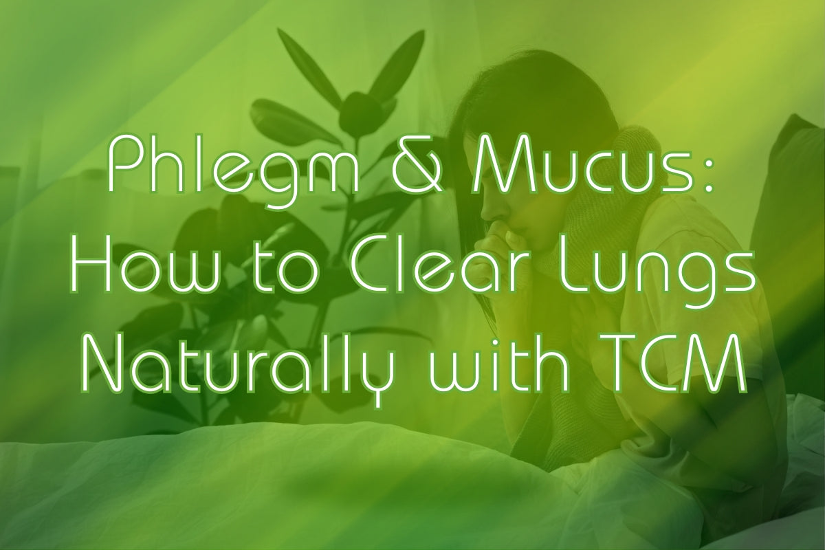 Phlegm & Mucus: How to Clear Lungs Naturally with TCM