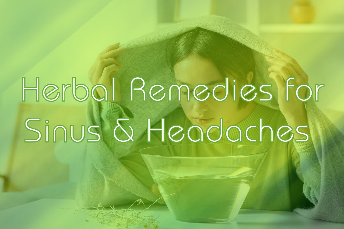 Sinus & Headaches: How Chinese Herbal Remedies Can Help