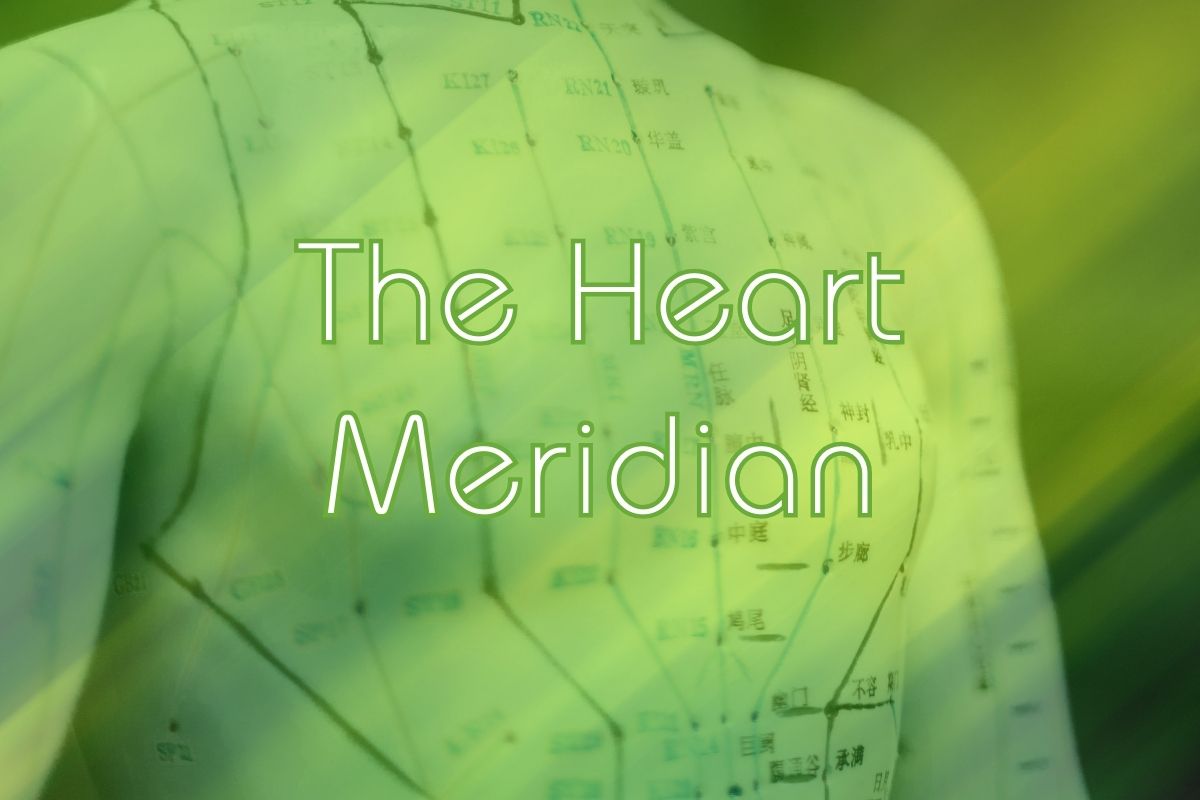 The Heart Meridian - Traditional Chinese Medicine - Aura Nutrition