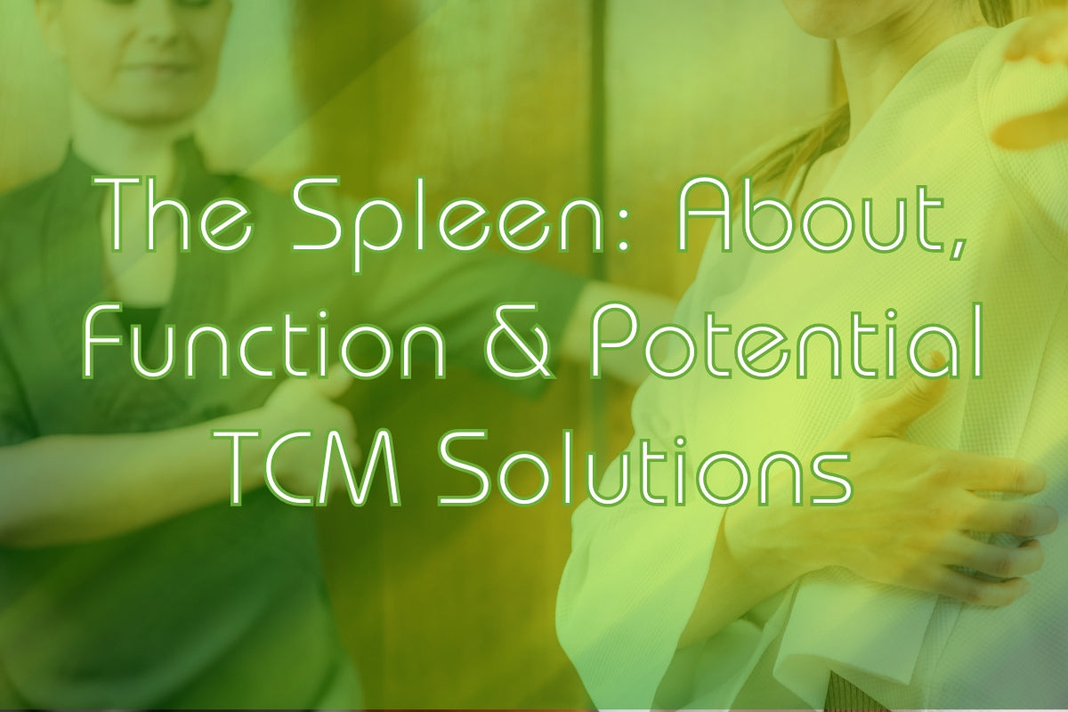 The Spleen: About, Causes & Potential TCM Solutions