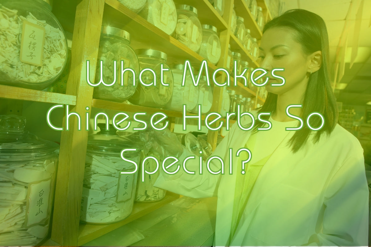 What Makes Chinese Herbs So Special? | Aura Health & Wellbeing Blog