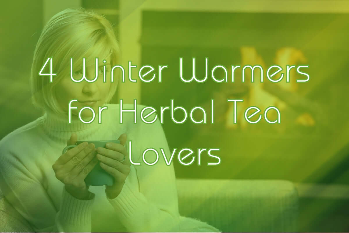winter warmer herbal tea lover 