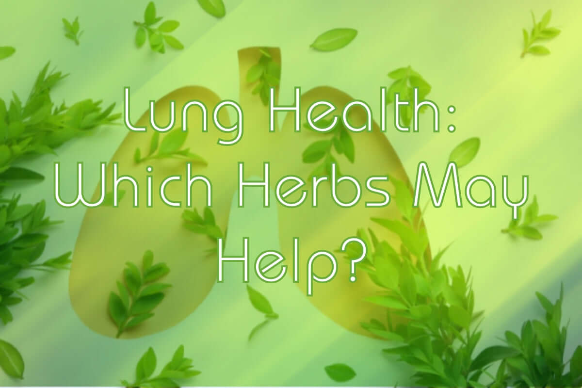Lung Wellness: Which Herbs May Help?