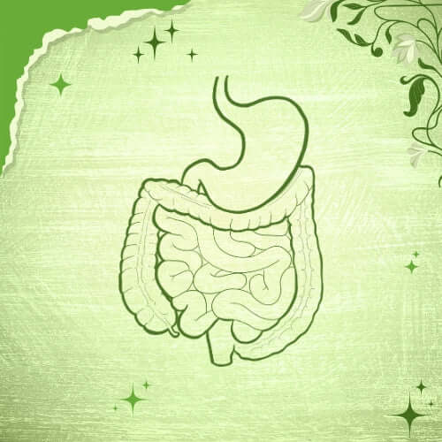 Stomach Ache Supplements | Aura Nutrition